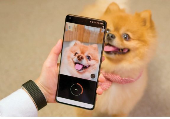 펫나우가 개발한 인공지능(AI) 기술을 사용해 개의 코 무늬를 휴대전화 카메라로 찍고 있다. 펫나우 제공 