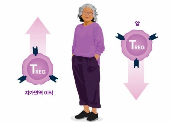 ‘조절T세포’ 수치를 높이거나 낮춰 각종 난치병을 고치는 치료제 개발이 한창이다. 노벨재단 제공