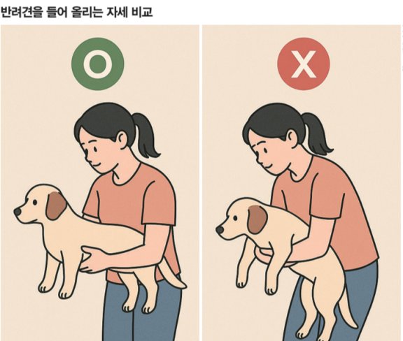 반려견을 들어 올릴 때 가슴과 골반을 같은 높이로 해 척추가 지면과 수평을 유지하도록 하는 것이 좋다. 챗GPT 생성 이미지 
