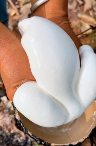 Z세대가 보는 ASMR처럼 즐기고 있는 고무 짜기 콘텐츠. 인스타그램 @mmellium 계정 캡처