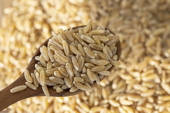 고대 이집트에서부터 재배된 카무트. GETTYIMAGES