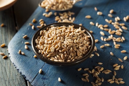 이탈리아에서 재배되는 파로. GETTYIMAGES