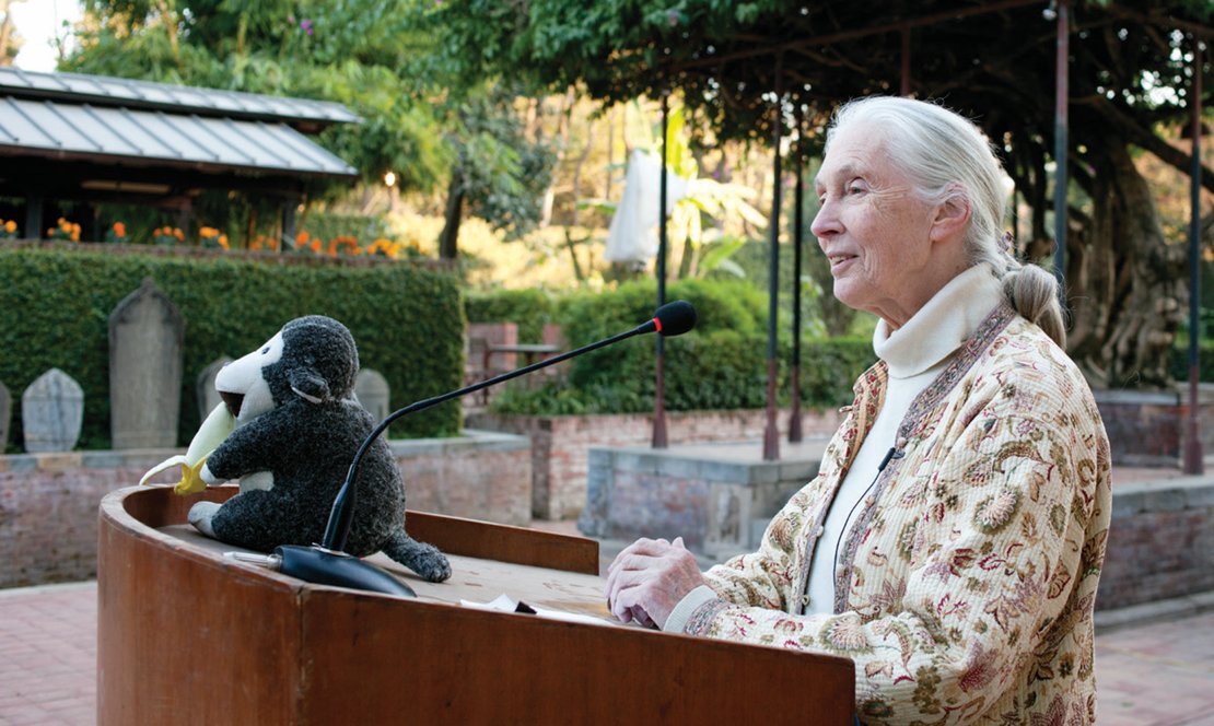 10월 1일 세상을 떠난 제인 구달 박사. GETTYIMAGES