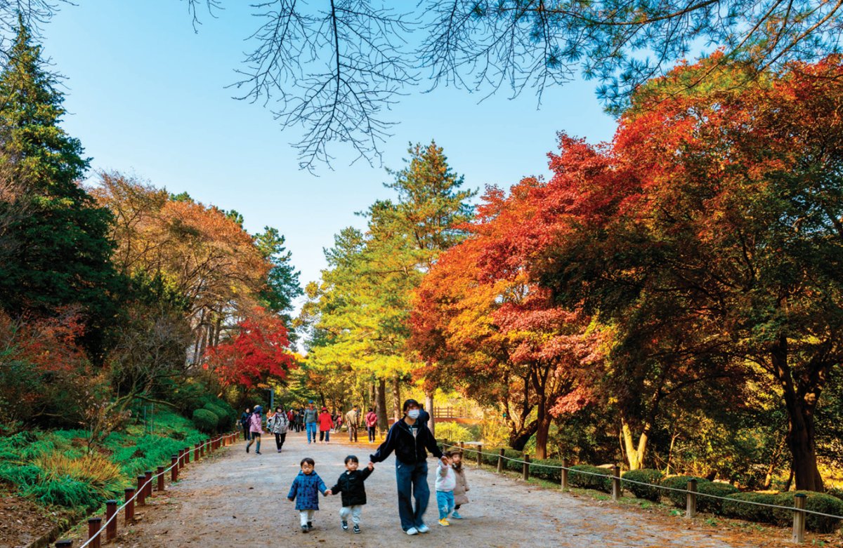 서울대 안양수목원이 단풍으로 붉게 물들었다. 홍태식