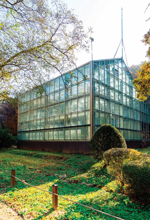 희귀종을 모아둔 서울대 안양수목원 남부식물 온실. 홍태식