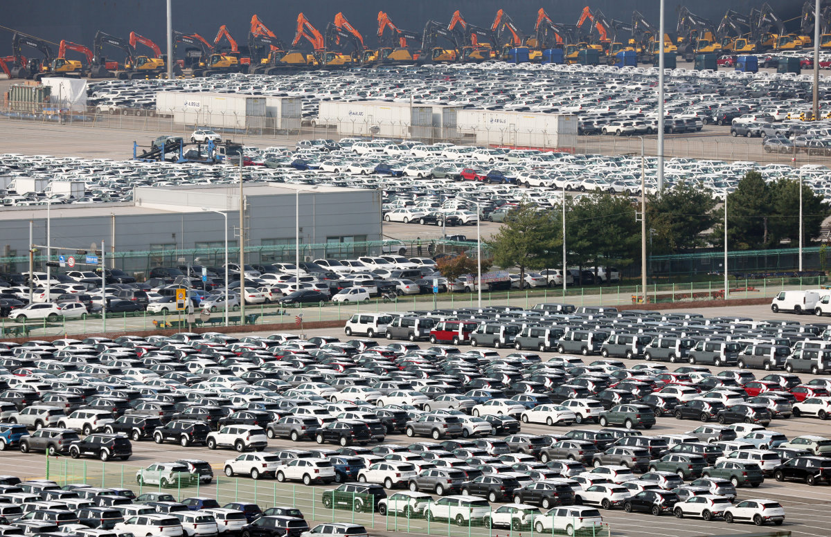 경기 평택항에 수출용 차들이 놓여 있다. 뉴스1