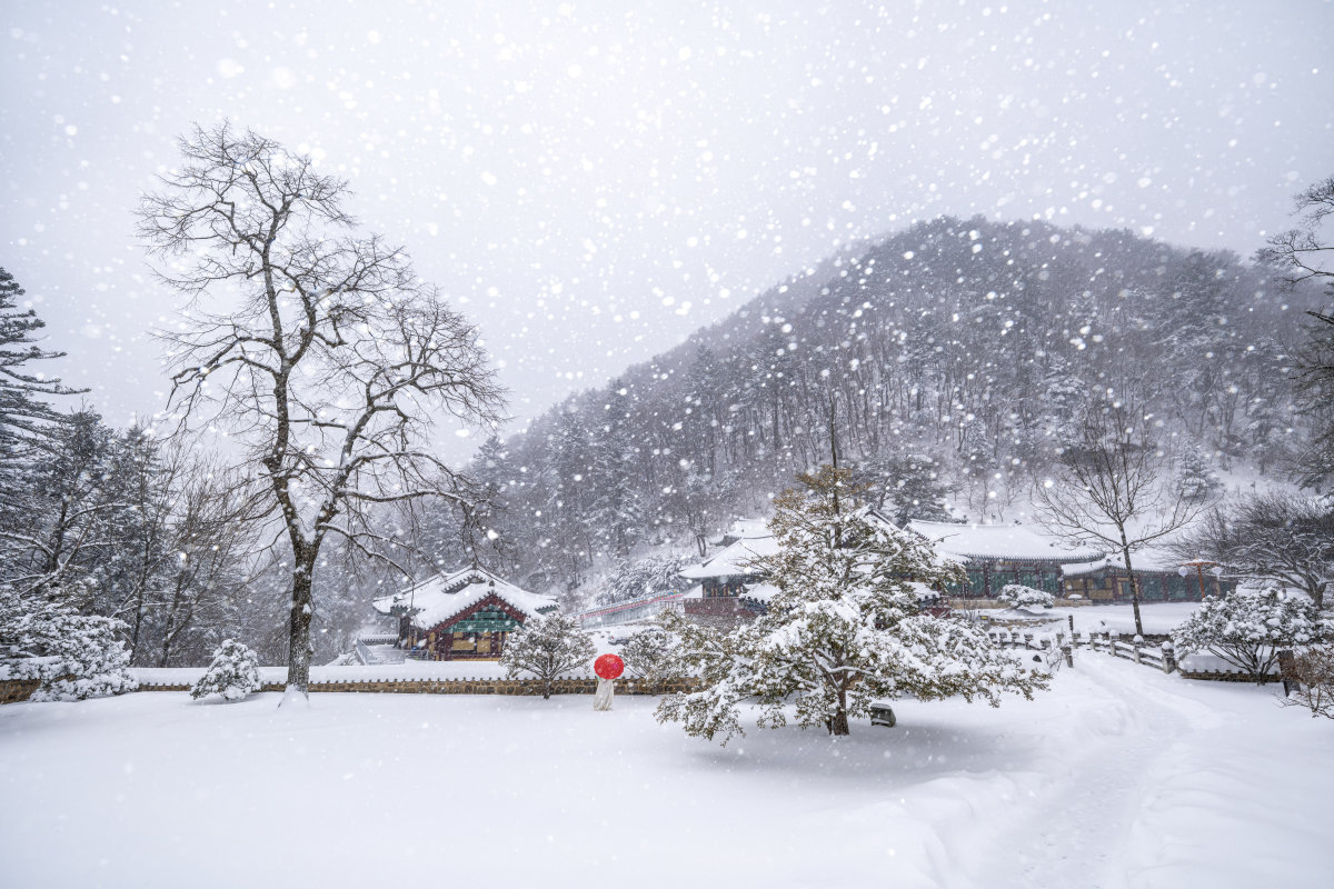 신라시대 창건된 고찰 정암사에 아름다운 설경이 펼쳐져 있다. 정선군 제공