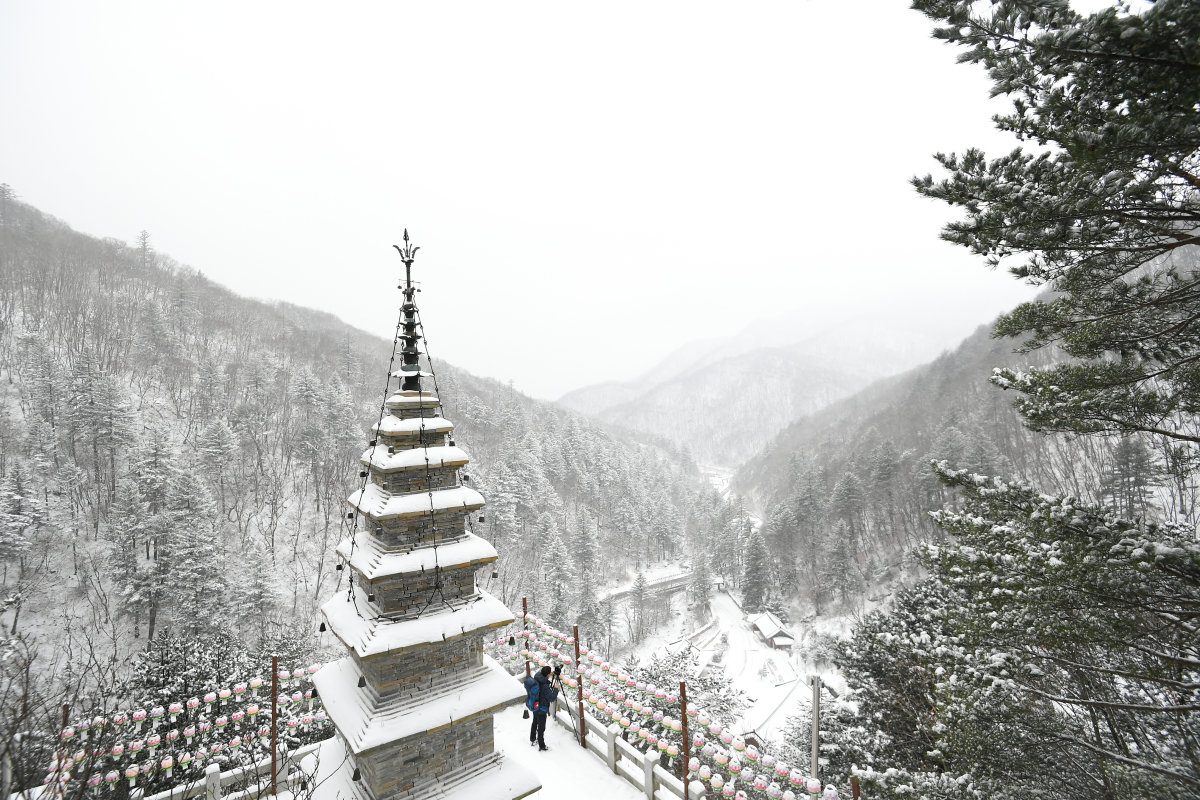 국보 제332호 수마노탑과 눈꽃이 어우러진 정암사 풍경. 정선군 제공