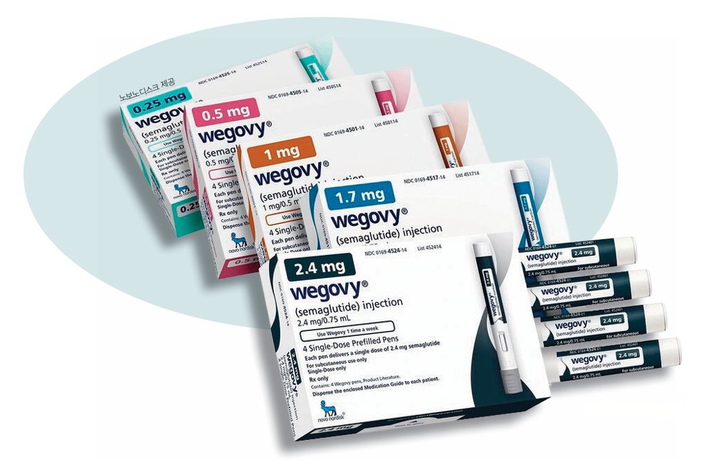 비만치료제 ‘위고비’. 노보노디스크 제공