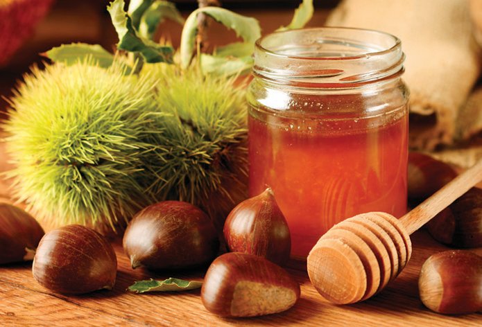 항산화 성분이 풍부한 밤꿀. GETTYIMAGES