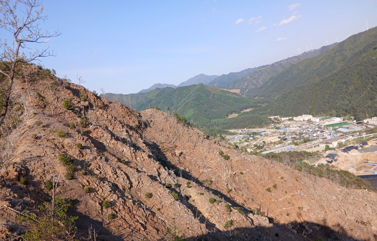 석포제련소 인근 산에 나무 등 식생이 죽어 토사가 노출돼 있다. 영풍석포제련소 봉화군대책위원회 제공 