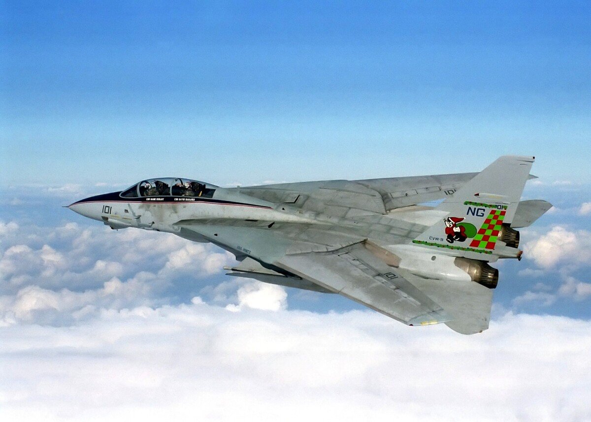 미국 해군에서 운용하던 F-14. 위키피디아