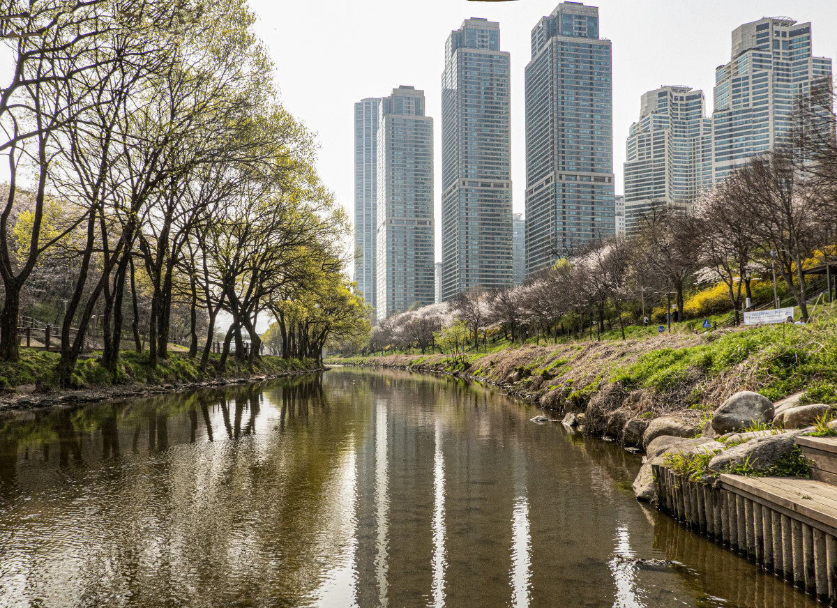 서울 양재천 일대는 강남에서도 손꼽히는 부촌이다. GETTYIMAGES
