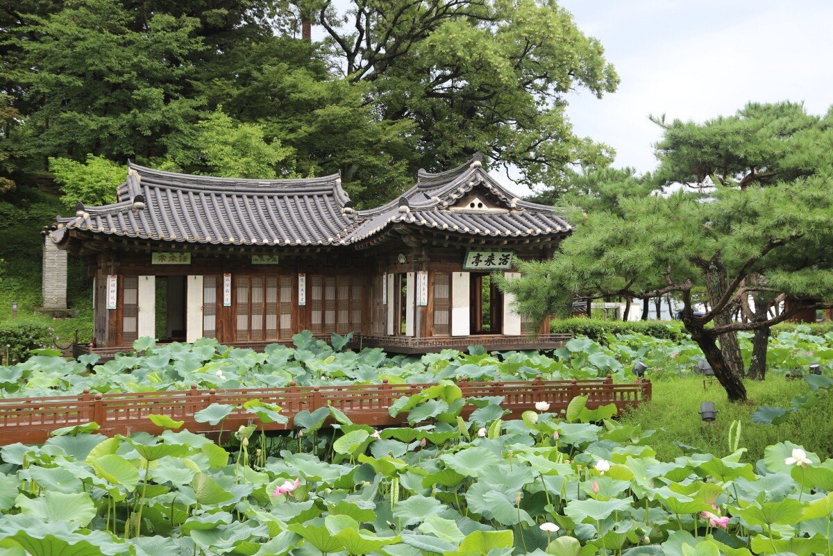 선교장 활래정. 이 연못가의 물이 선교장의 재물운에 기여하는 것으로 해석된다. 동아DB
