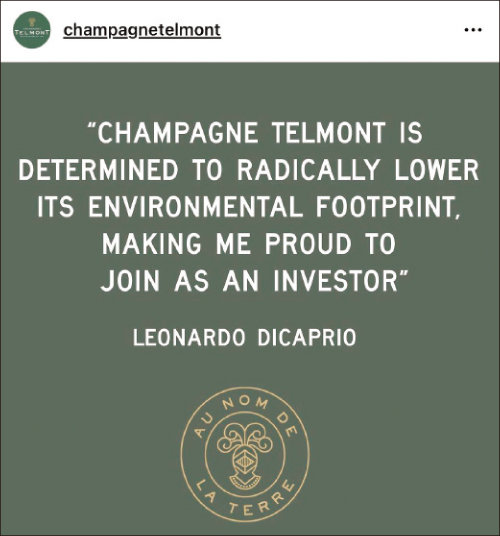 샴페인 하우스 ‘텔몽’에 투자하는 레오나르도 디카프리오의 SNS 게시글. 텔몽의 환경에 대한 철학에 공감한다는 내용이다. 
