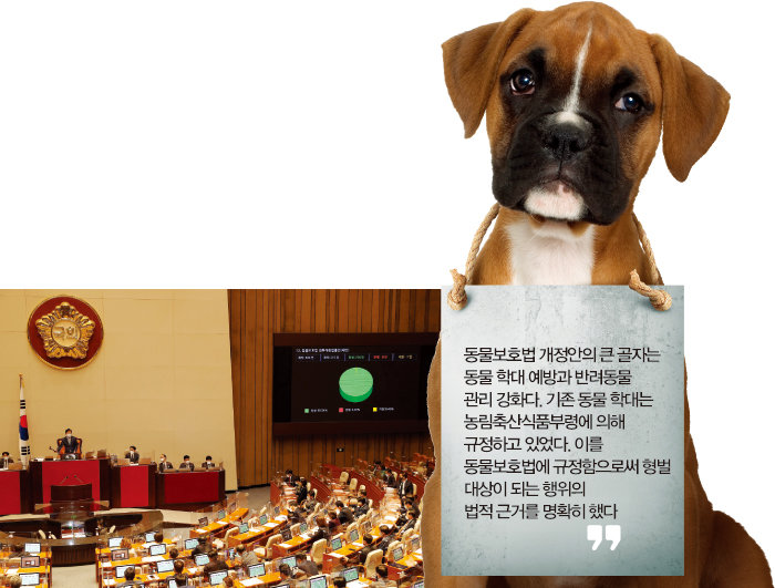 2022년 4월 5일 동물보호법 전부개정안이 국회 본회의를 통과했다.