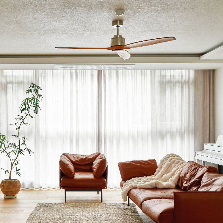 햇살과 녹음이 빚어낸 저층 아파트의 놀라운 변화