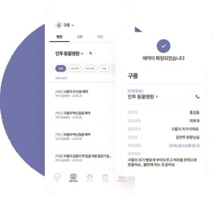 반려동물 건강수첩 앱 ‘인투펫’은 진료 데이터를 인공지능(AI) 리포트로 시각화했다.