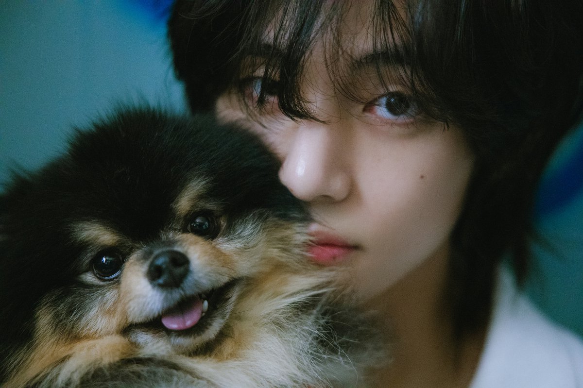 ‘I will remember you forever’ BTS V’s dog Yeontan has passed away. In line with this, the music video for ‘White Christmas’, in which Yeontan appears in place of his owner V, is also gathering attention. Photo courtesy of|Big Hit Music