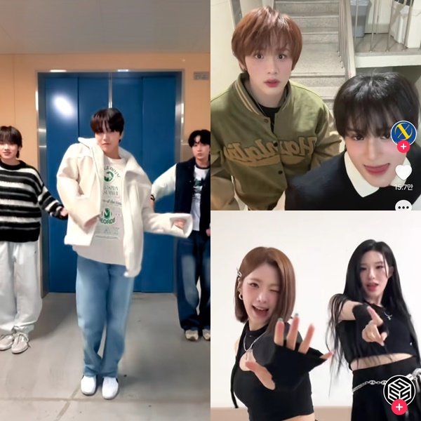 NCT Wish, Sodyek, and Triple S (clockwise from the left) are making headlines by filming the ‘It‘s Okay Challenge’. Photo source | Official TikTok accounts of each group