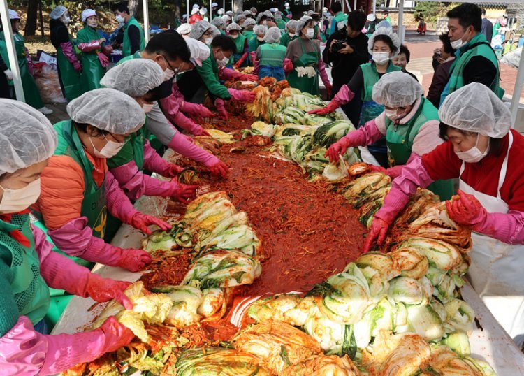 세계로 뻗는 한국 김치… 5조 원 시장, 2050년 15조 원 성장 전망