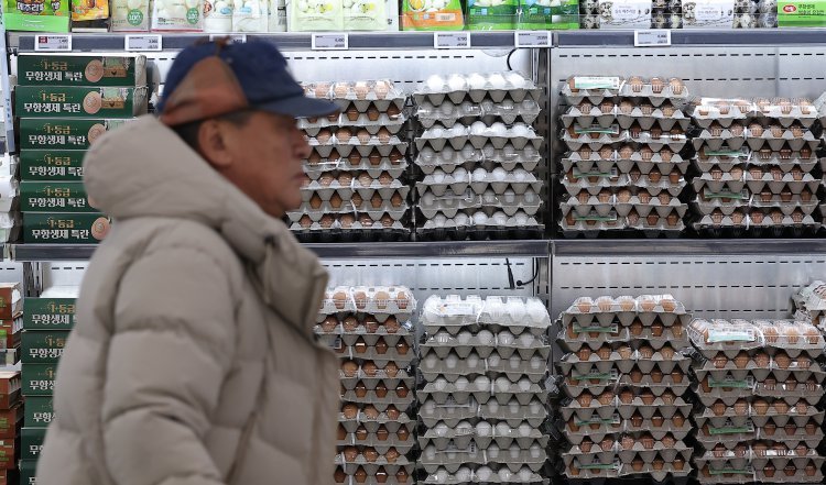 수입물가 1년 7개월 만에 최대 상승…환율 급등 영향에 5개월 연속↑