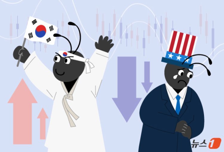 “사천피 뚫린 국장의 반란”…동학개미 작년 수익률, 서학개미의 ‘3배’