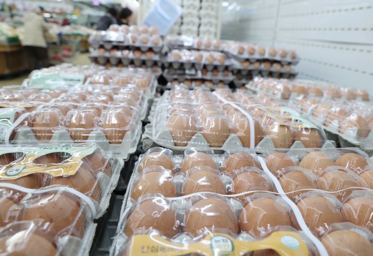 한판 8000원 달걀, 산지값 ‘짬짜미’ 과징금 6억