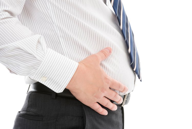 ‘지방세포 생성’ 켜고 끄는 스위치 발견… 비만-지방간 정밀 치료길 연다