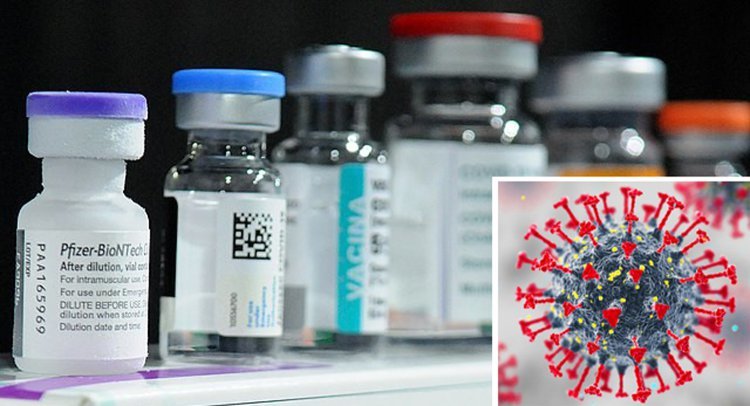 동물실험서 ‘만능 백신’ 성공… 코에 뿌리면 코로나-독감 예방