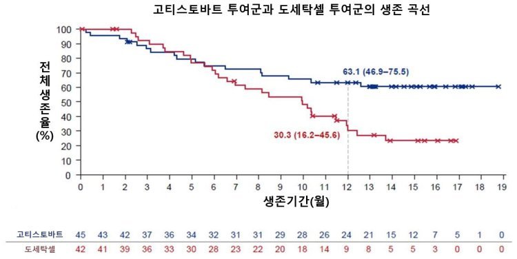 전이성 폐암에 ‘이 항암제’ 썼더니…“사망 위험 절반 뚝”