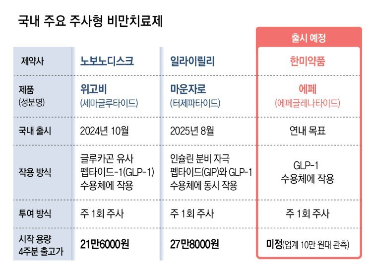 비만약 반값 되나… 위고비-마운자로에 ‘에페’ 도전