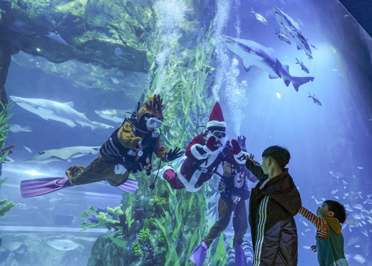 아쿠아리움서 만나는 산타와 루돌프