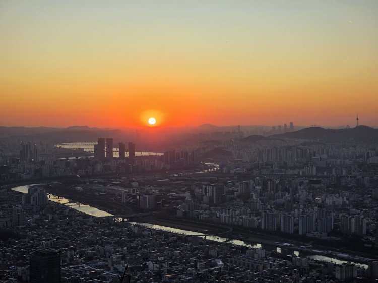 붉은 말의 해, 살곶이 벌판을 물들이는 생명의 기운[전승훈 기자의 아트로드]