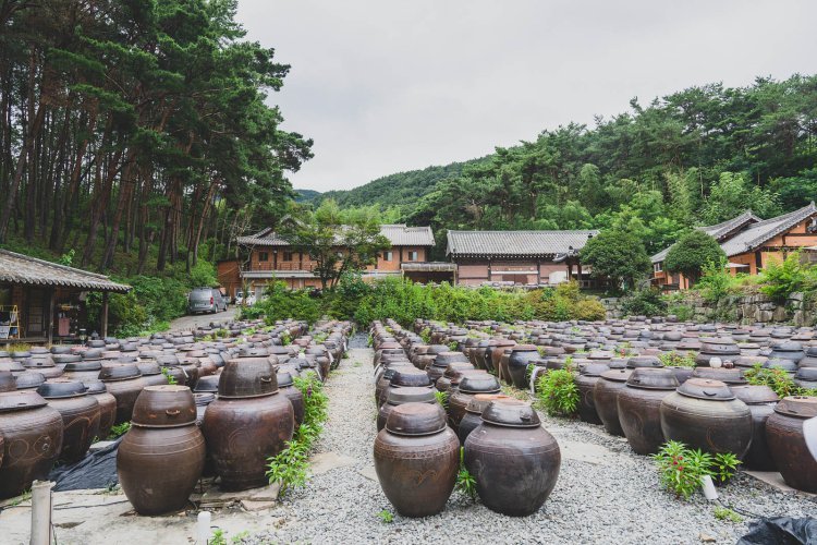 “기순도 명인이 빚는 전통장, 직접 보고 배운다” 신세계百, 체험형 프로그램 출시