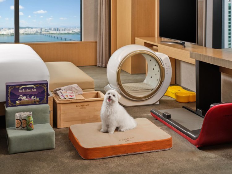 콘래드 서울, 반려견 동반 숙박 패키지 ‘2026 펫 메종’ 리뉴얼 출시