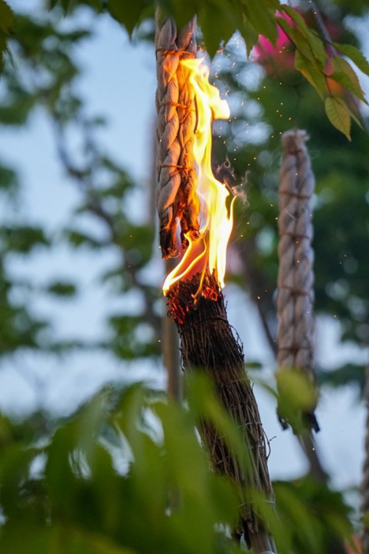 밤하늘 가득 수놓는 ‘1만 개 불꽃’… 세종,‘낙화’로 물든다