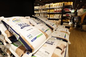 쌀 한 가마니가 23만원…정부, 15만t 범위 정부양곡 단계적 공급