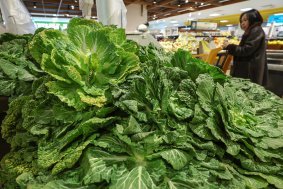 ‘두쫀쿠’ 이어 ‘봄동비빔밥’ 열풍…건강하게 섭취하려면