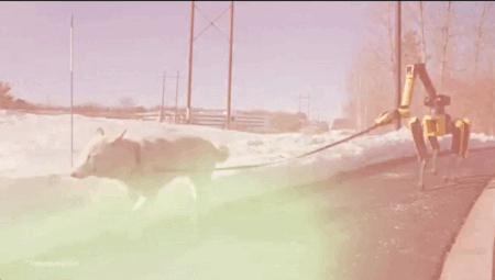 개 산책시키는 로봇개… AI 달고 진화