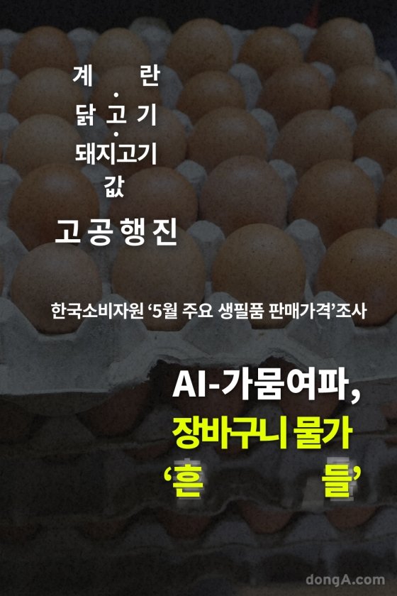 [카드뉴스]계란·닭고기·돼지고기값 고공행진, 장바구니 물가 ‘흔들’