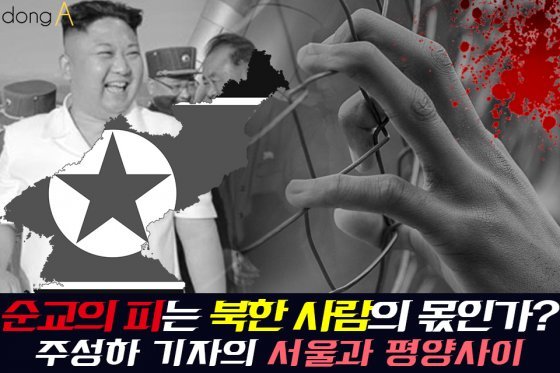 [카드뉴스]순교의 피는 북한 사람의 몫인가?