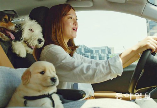 개를 태우고 다니기 좋은 자동차라는 점을 강조한 쉐보레 ‘더 뉴 트랙스’의 새 TV 광고. 제일기획 제공