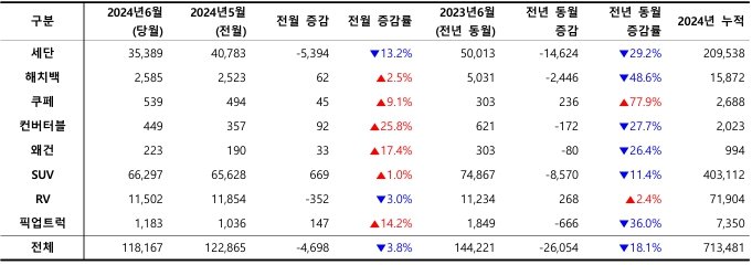 2024년 6월, 외형별 신차 등록 대수 / 출처=카이즈유데이터연구소