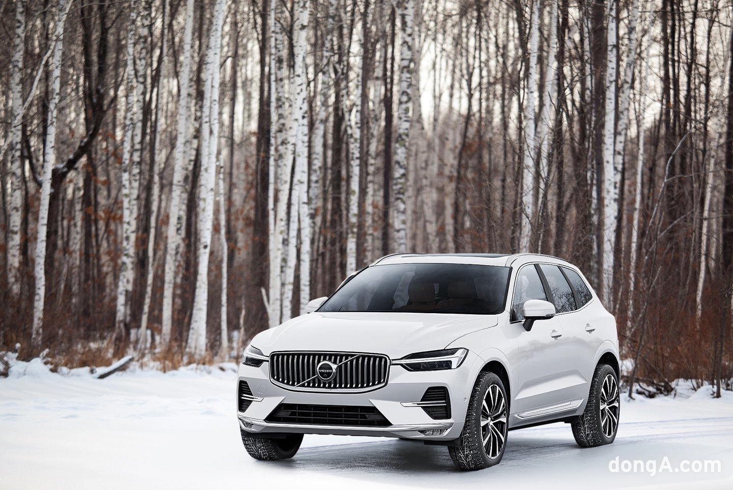 XC60 윈터 에디션