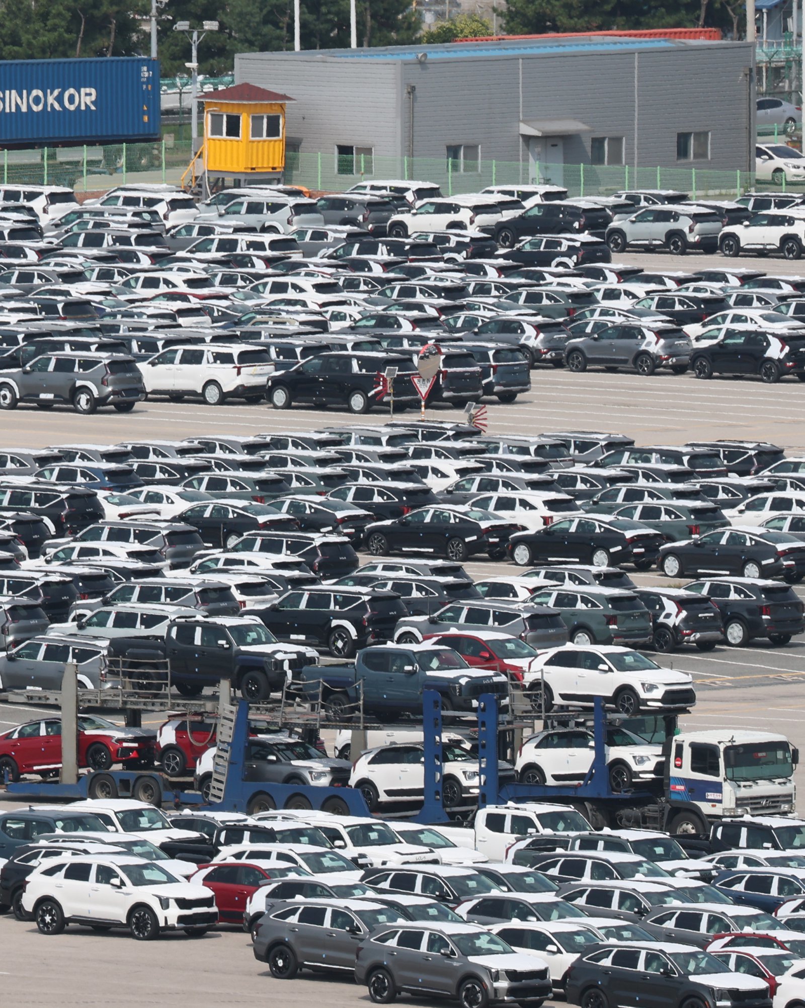 미국의 관세 부과 여파로 지난달 한국의 철강과 전기차 대미 수출이 크게 줄어든 것으로 나타났다.  트럼프 행정부의 고율 관세로 인해 지난달 한국이 미국에 수출한 전기차 신차 대수는 164대로, 작년 같은 달(6209대) 대비 97.4% 급감했으며 지난달 대미 철강 수출액은 2억8341만달러로 전년 동기 대비 25.9% 급감했다.   사진은 25일 경기 평택시 포승읍 평택항에 수출용 차량이 세워져 있는 모습. 2025.8.25/뉴스1