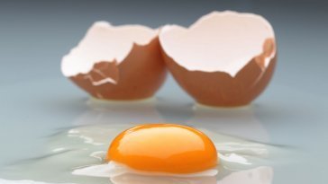 치매 걱정되면 하루 ‘달걀 두 개’ …노른자가 핵심