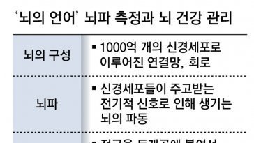 뇌파는 1000억개 신경세포의 신호… 정밀측정 통한 뇌질환 치료 기대[이진형의 뇌, 우리 속의 우주]