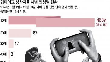 ‘딥페이크 봇’ 위험한 놀이… 성착취물 사건 5명중 1명이 촉법소년