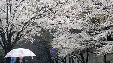 오후부터 전국에 강풍 동반한 비…천둥·번개 주의